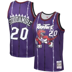 Elegante Splendido Damon Stoudamire Toronto Raptors 1995/96 Hardwood Classics Swingman Jersey Purple