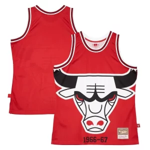 Lussuoso Chicago Bulls Hardwood Classics Blown Out Fashion Jersey Red